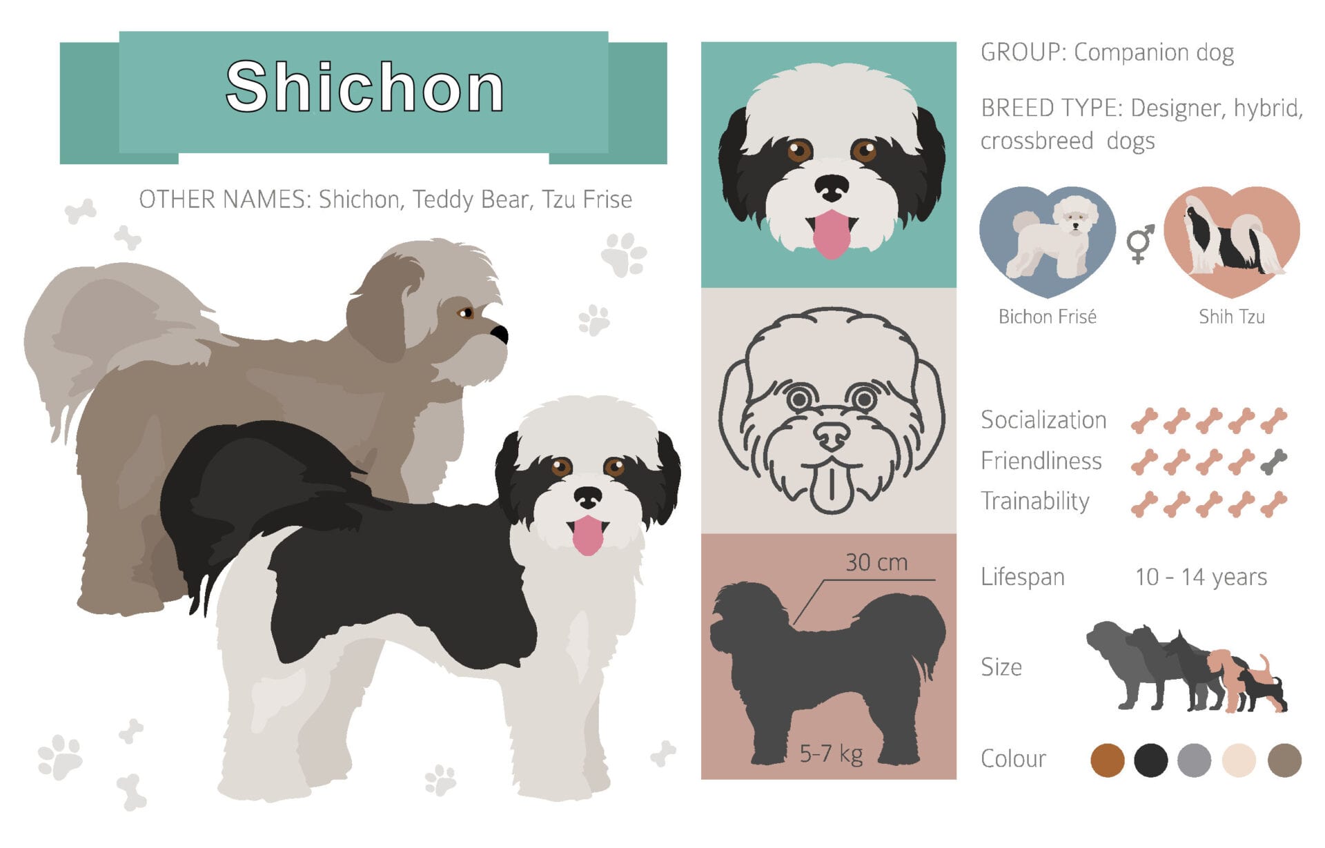 Shichon