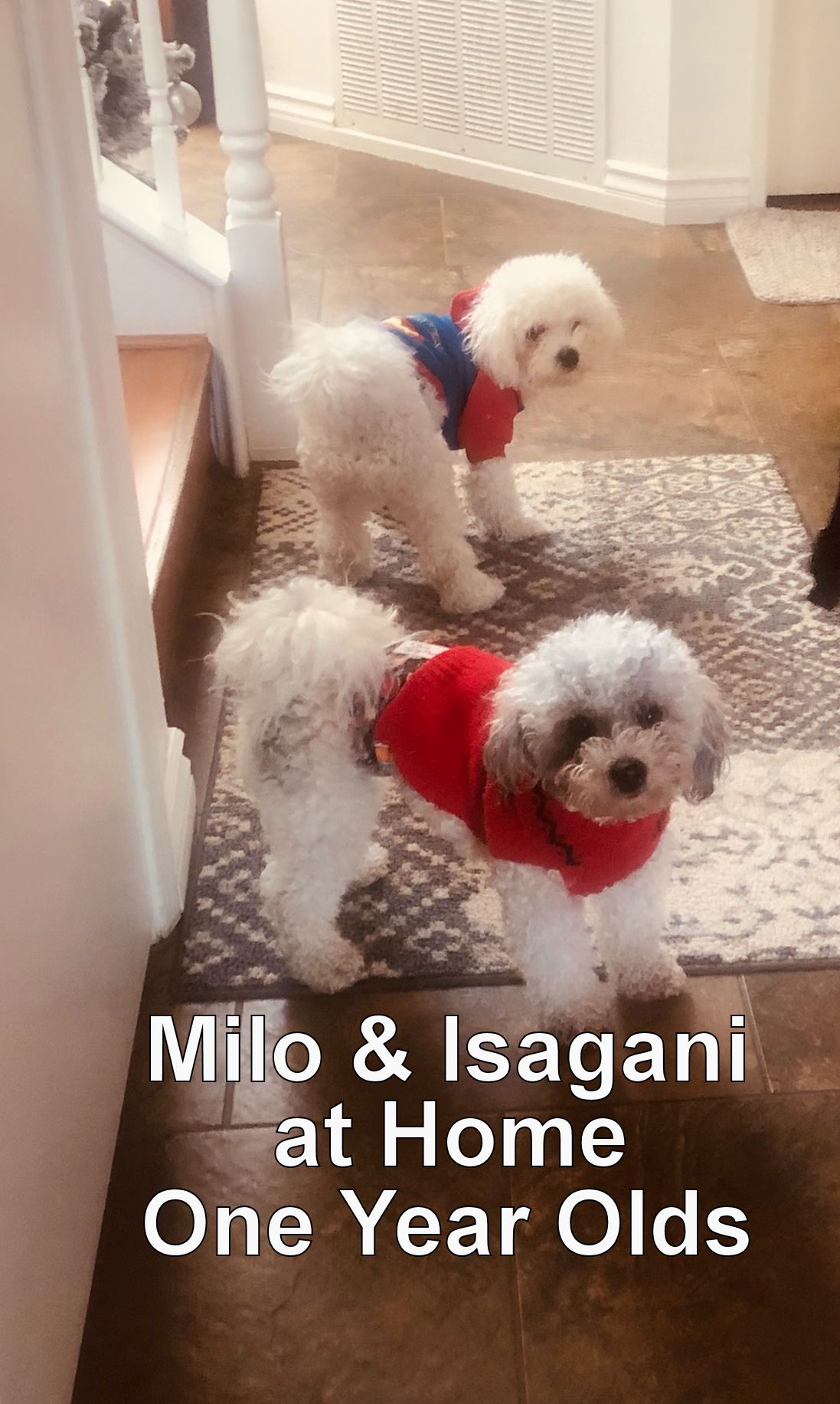 Milo and Isagani at home