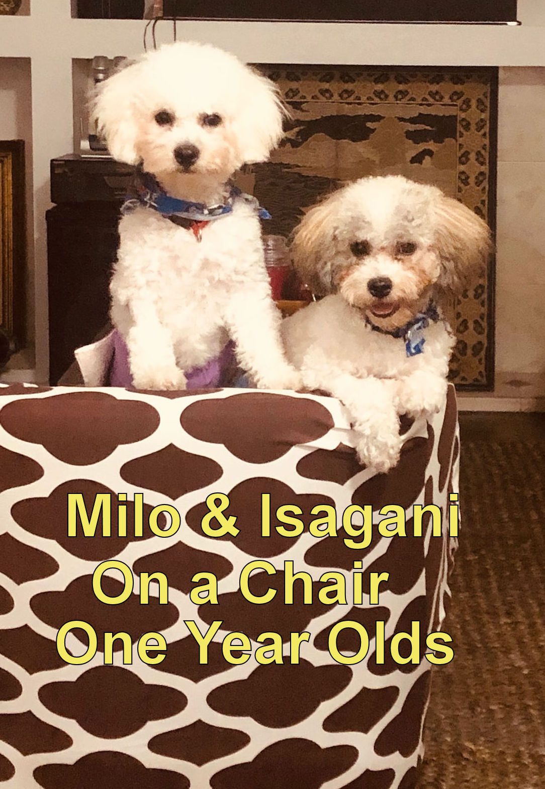 Milo & Isagani  in Chair